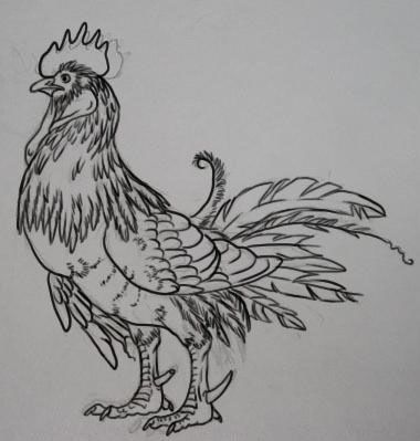 67724_drawin_003.jpg
