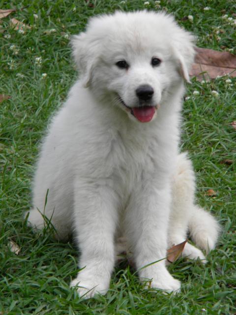 6809_380.jpg