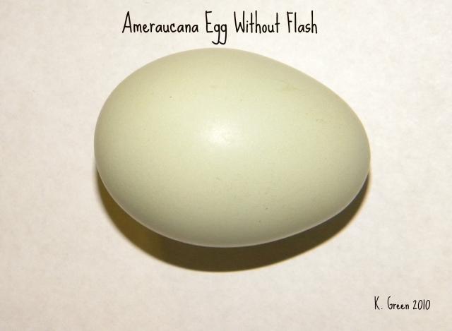 Ameraucana Egg Color Chart