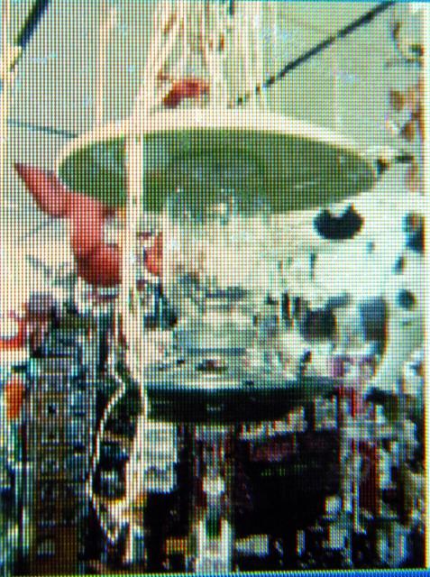 6809_dscn3984z_birdfeeder.jpg