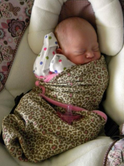 6809_dscn4430_3wks.jpg