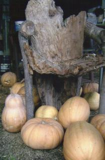 6809_img029.jpg