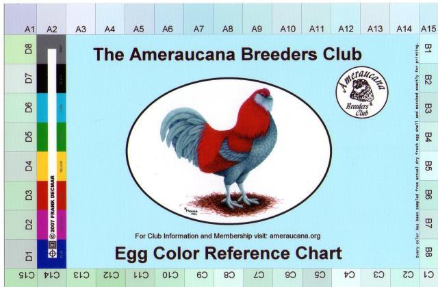 Chicken Colors Chart