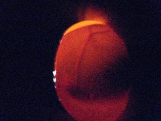 68116_img_3760.jpg