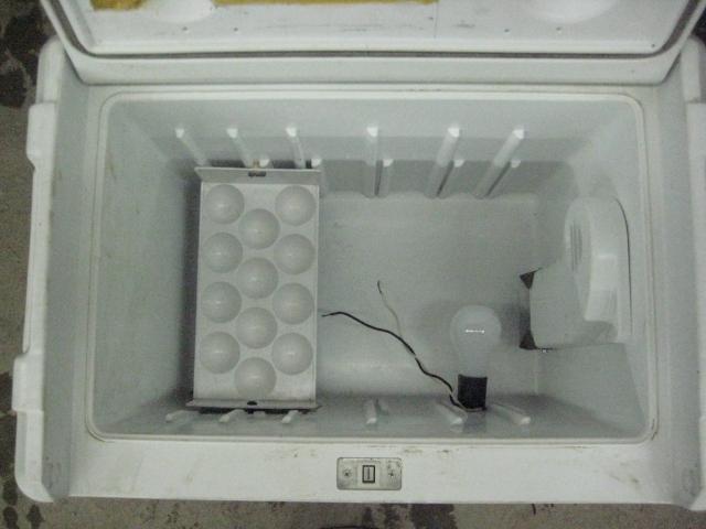 68116_incubator_1.jpg
