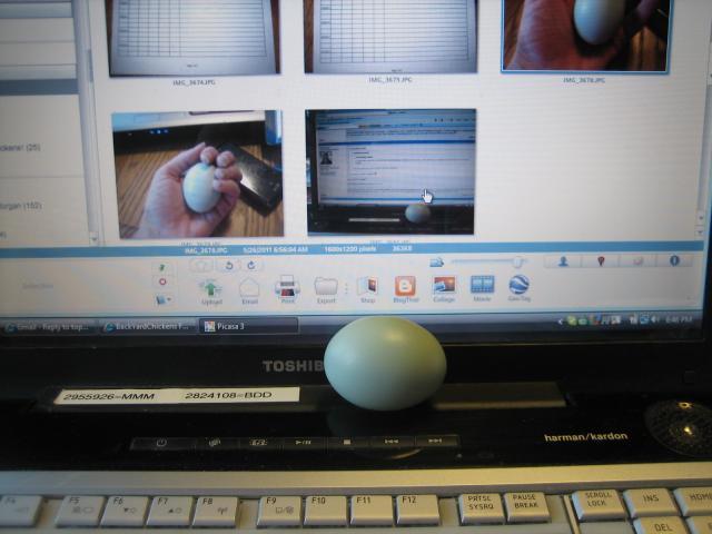 68173_just_having_a_little_fun_5-26-2011_7-04-27_am.jpg