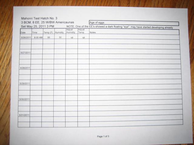 68173_mahonri_test_hatch_no_3_worksheet_5-25-2011_10-19-34_pm.jpg