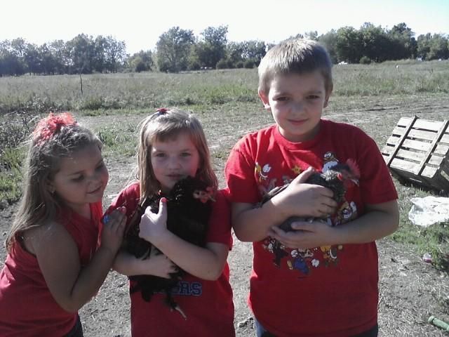 68327_kids_with_chickens_8.jpg