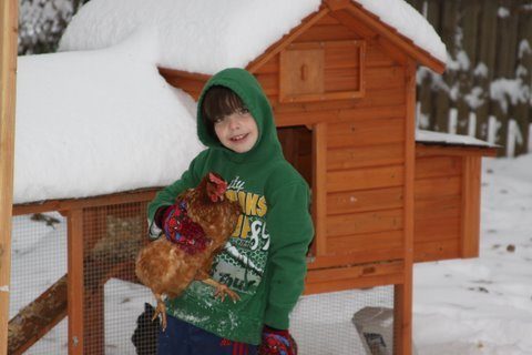 68390_christopher_and_chestnut_snow_1.jpg