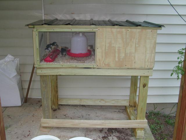 68446_brooder_1.jpg