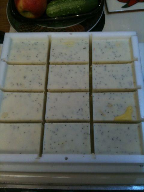 68503_soap_2_5-16-11.jpg
