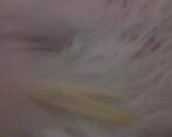 68534_1234567.jpg