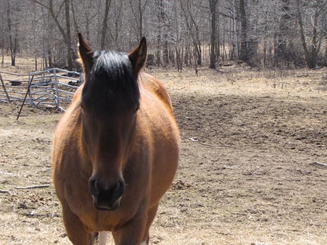 68534_april_2009_066.jpg