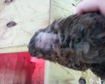 68534_mailgooglecom.jpeg