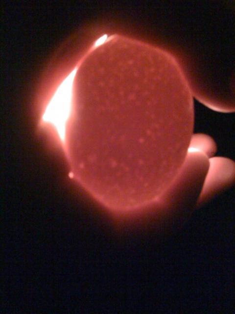 68573_candled_egg.jpg