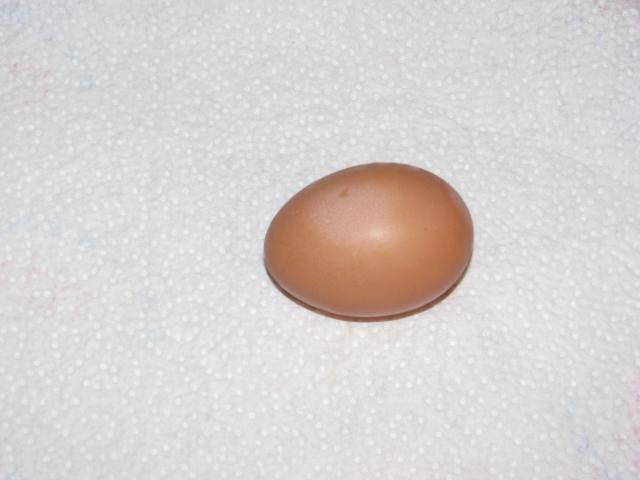 68589_img_1104.jpg