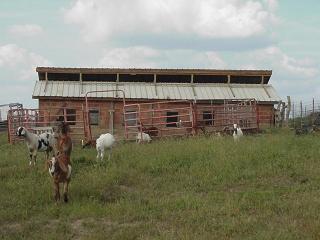 68749_new_roof_1.jpg