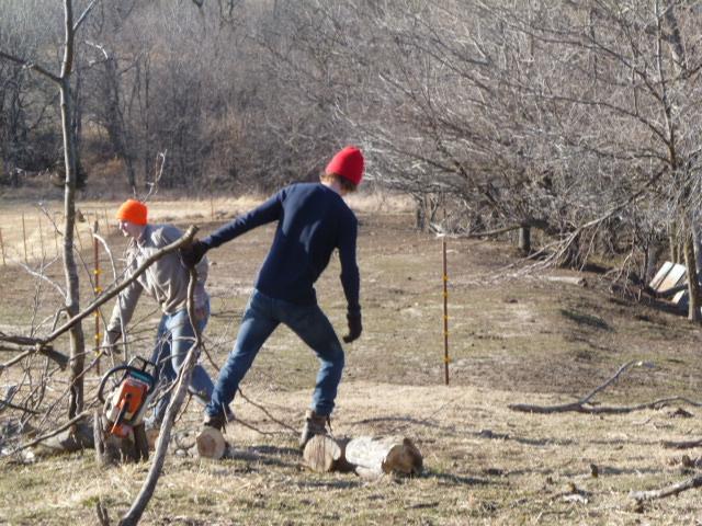 68749_p1000353.jpg
