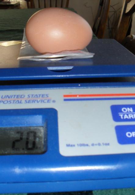 68928_bb_egg3.jpg