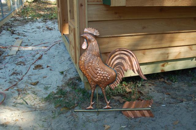 69010_bantam_coop-_002.jpg