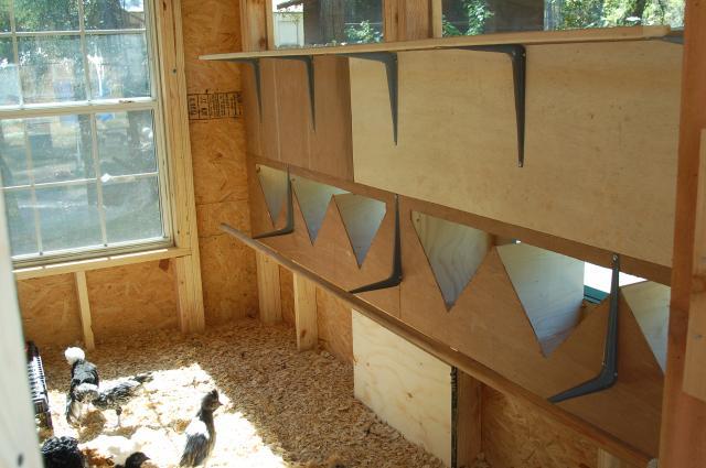 69010_bantam_coop-day_10-roost_dividers_001.jpg