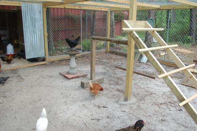 69010_chicken_jungle_jim_018.jpg