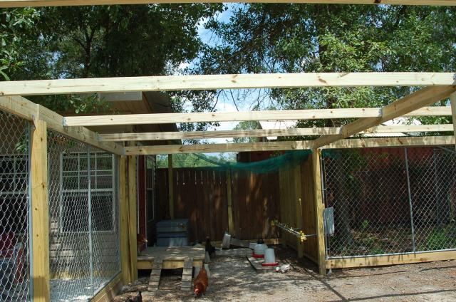 69010_coop-_run_roof_framing_003.jpg