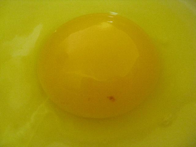 69119_eggs_007.jpg