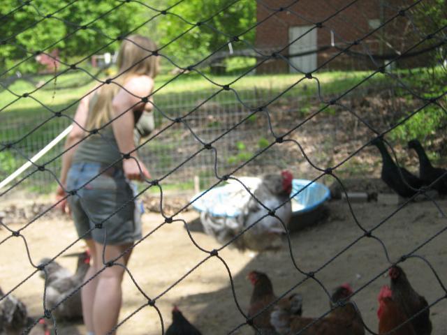 6911_img_1862.jpg