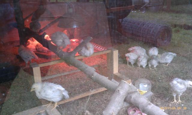 69192_imag0406.jpg