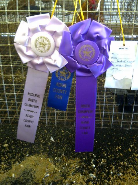 69260_adir_county_fair_2011_011.jpg