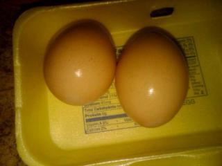 69289_eggs.jpg