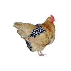 69348_diaperonchicken.jpg