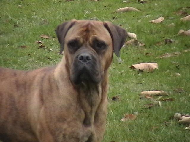 69412_imga0060.jpg