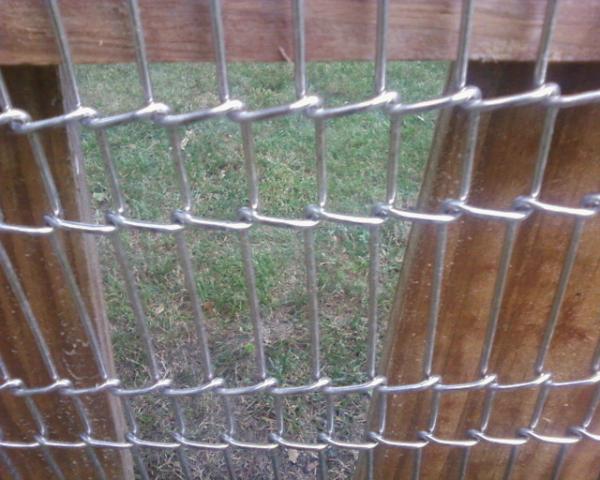 69428_photo-0111.jpg