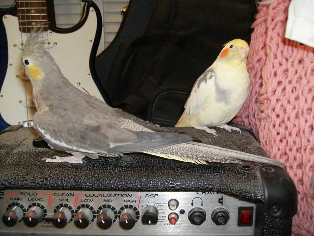 6943_014.jpg