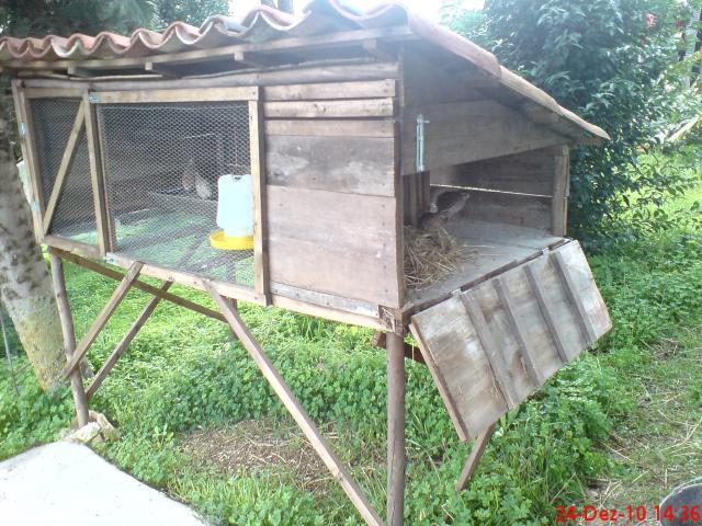 69483_dsc04841.jpg