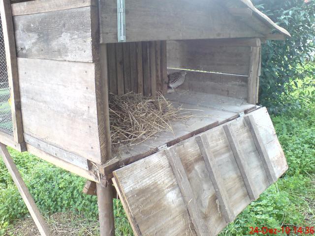 69483_dsc04842.jpg