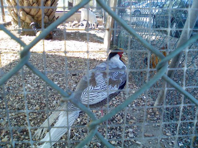 69483_foto0002.jpg