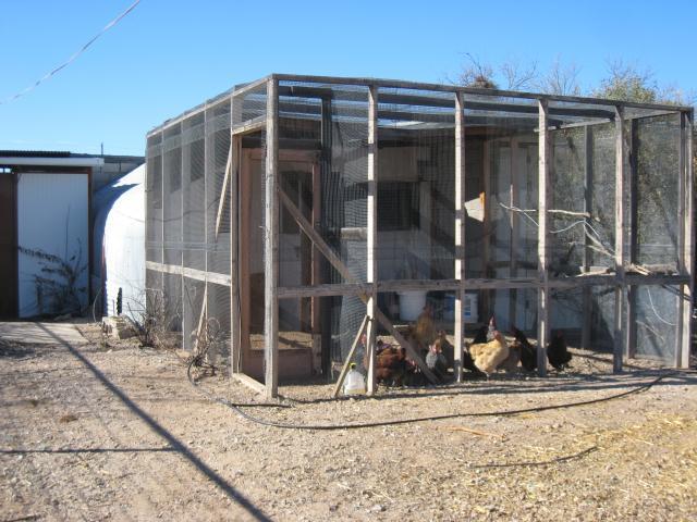 69593_coop_001.jpg