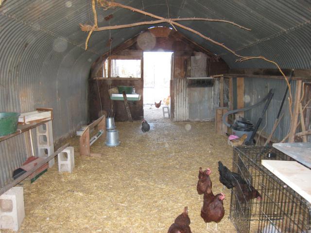 69593_coop_009.jpg