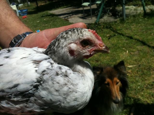 69714_jess_iphone_364.jpg