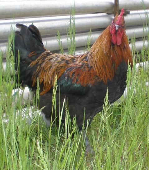 69791_005.jpg