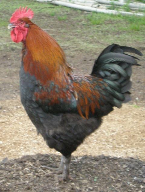 69791_043.jpg