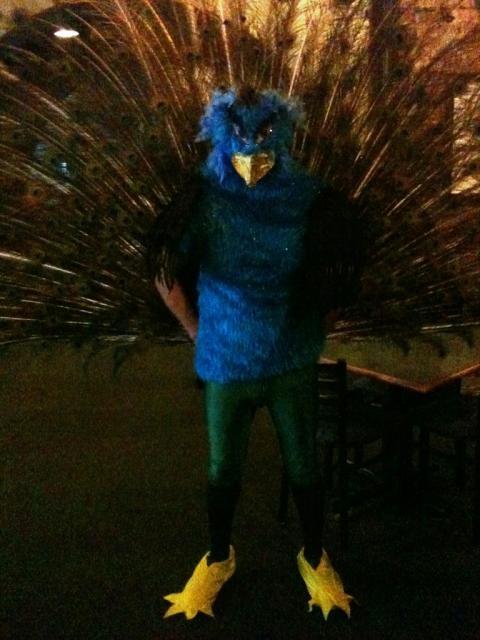 69812_halloween_peacock.jpg