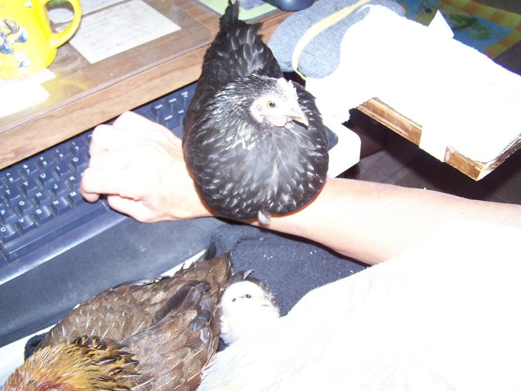 69838_missy_012.jpg