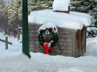 69877_christmas_wreath_snow.jpg