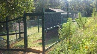 Show me your YARD doors (not pop doors) - need to build ...