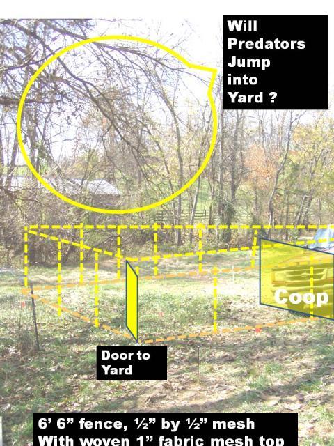 69881_chicken_yard_with_trees.jpg