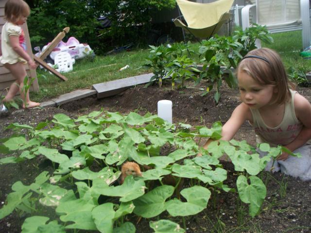 69907_100_2276.jpg